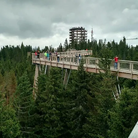 Apartament Lucy - Primo Tatry Stary Smokovec Wysokie Tatry