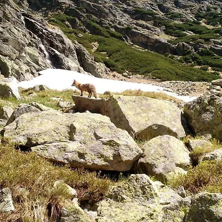 Apartmán Lucy - Primo Tatry Stary Smokovec Vysoke Tatry
