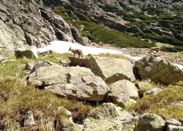 Apartament Lucy - Primo Tatry Stary Smokovec Wysokie Tatry